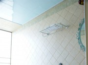 清新優(yōu)雅的東南亞風(fēng)格小戶型衛(wèi)生間裝修效果圖 清新優(yōu)雅的東南亞風(fēng)格小戶型衛(wèi)生間裝修效果圖